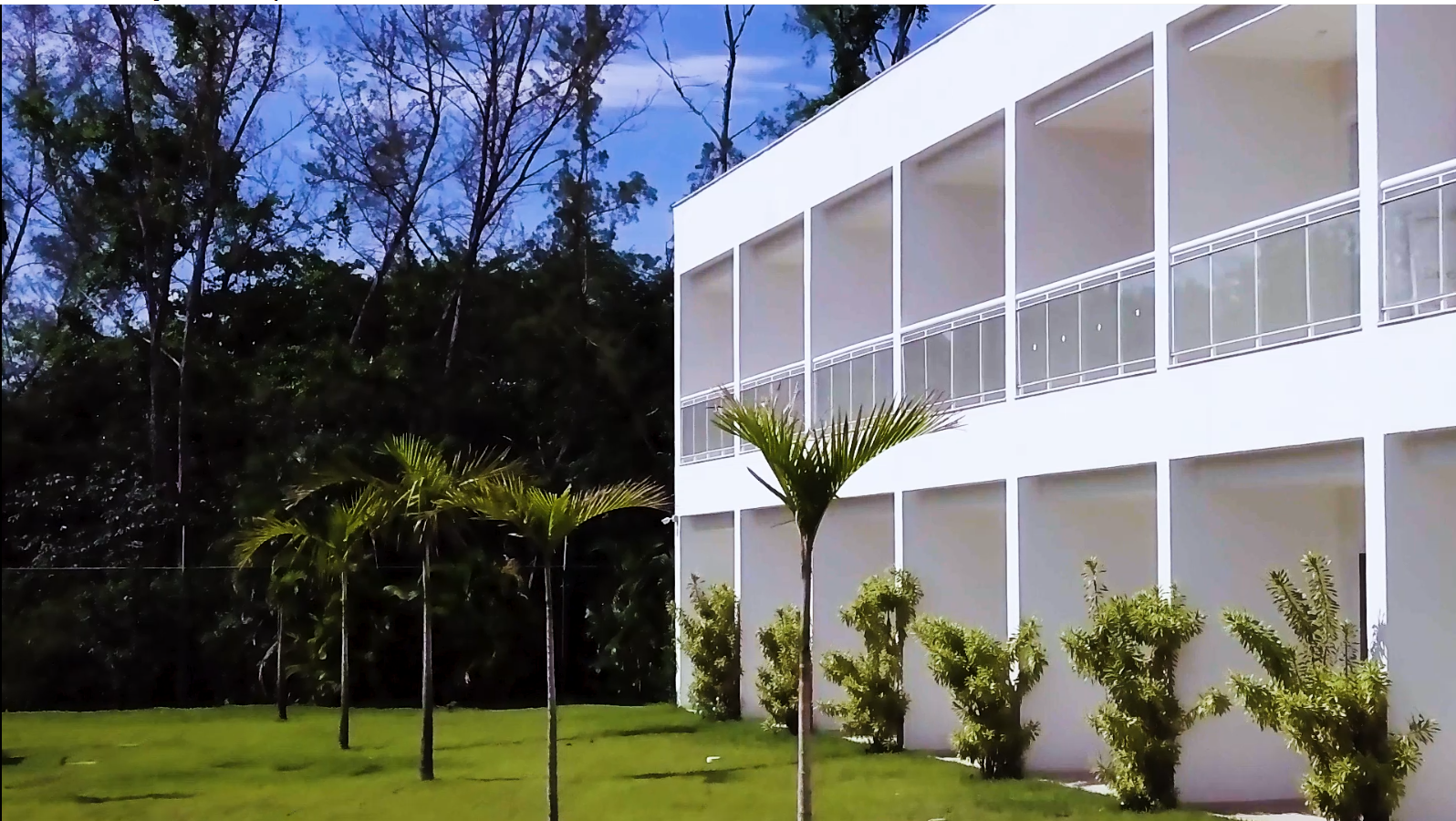 Edifício Piazza Disegno com paisagismo e palmeiras